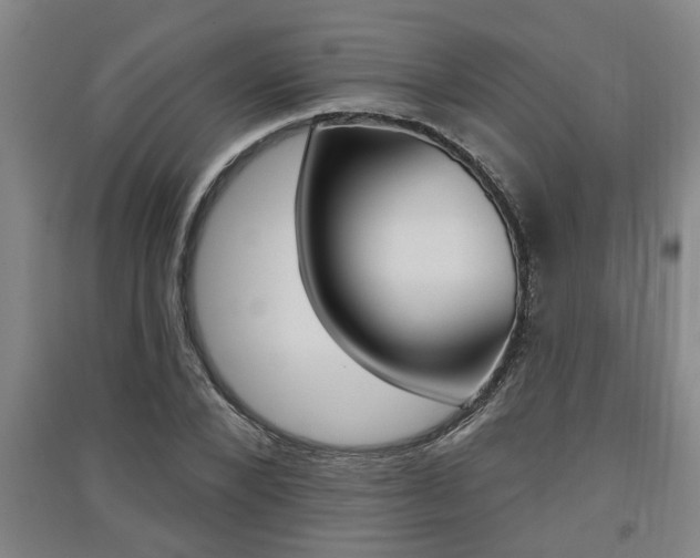 X0000091510880200708170947