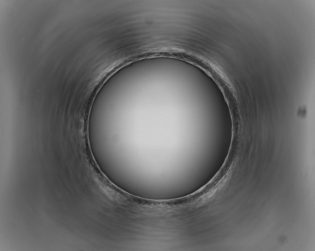 X0000091510881200708170947