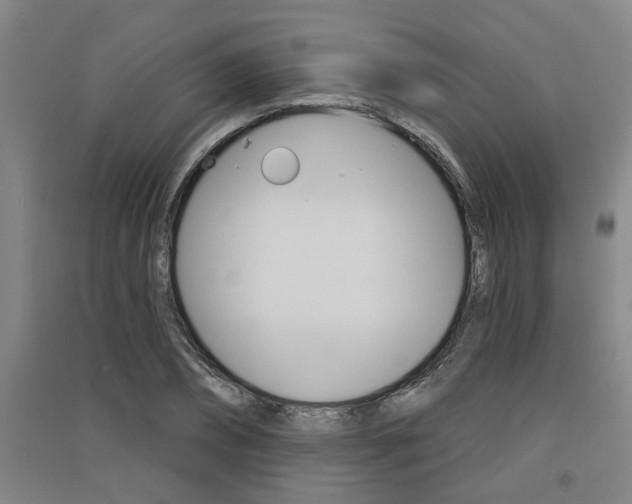 X0000091510882200708170947
