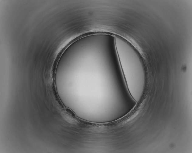 X0000091510885200708170947
