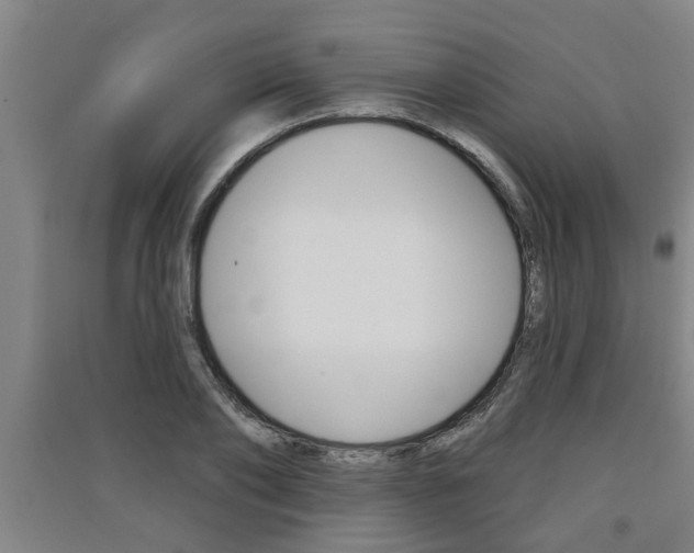 X0000091510886200708170947