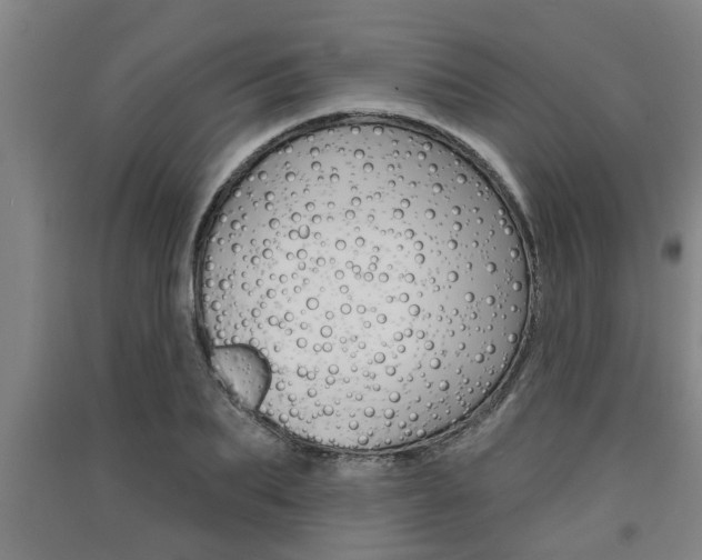 X0000091510887200708170947