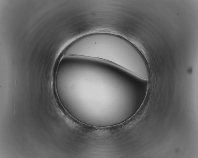 X0000091510888200708170947