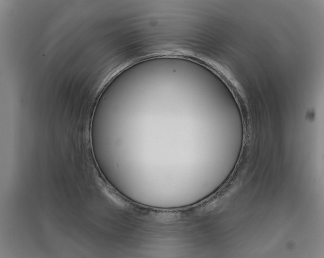 X0000091510889200708170947
