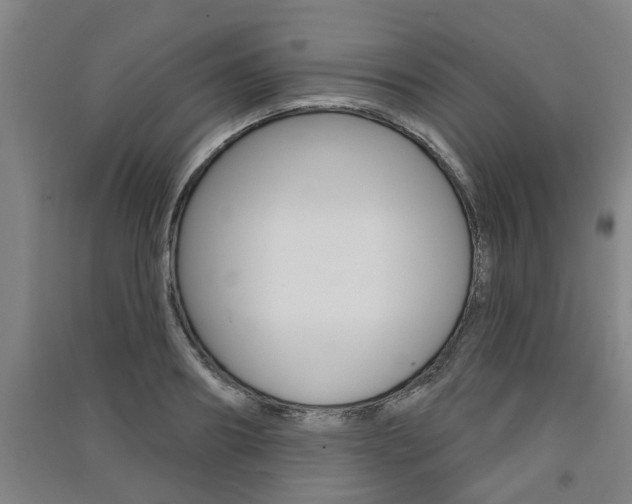 X0000091510890200708170947