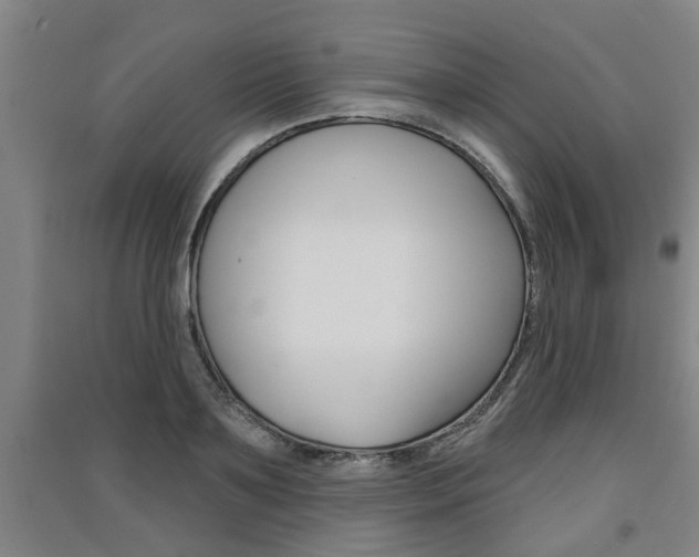 X0000091510891200708170947