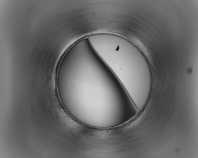 X0000091510892200708170947