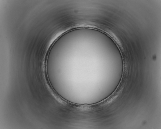 X0000091510893200708170947