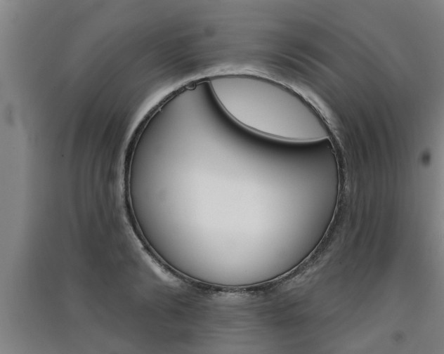 X0000091510894200708170947