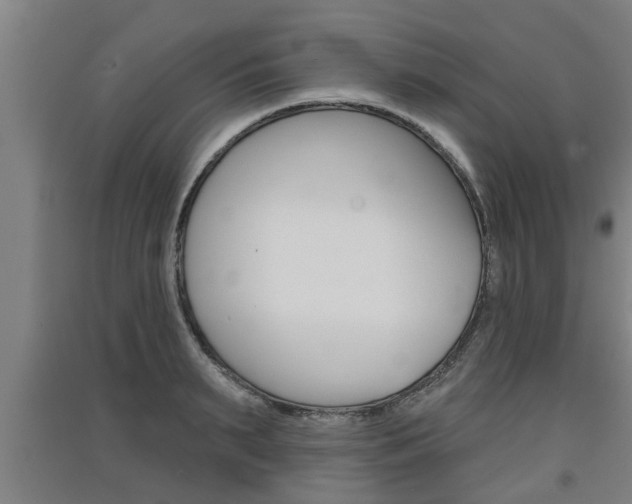 X0000091510895200708170947