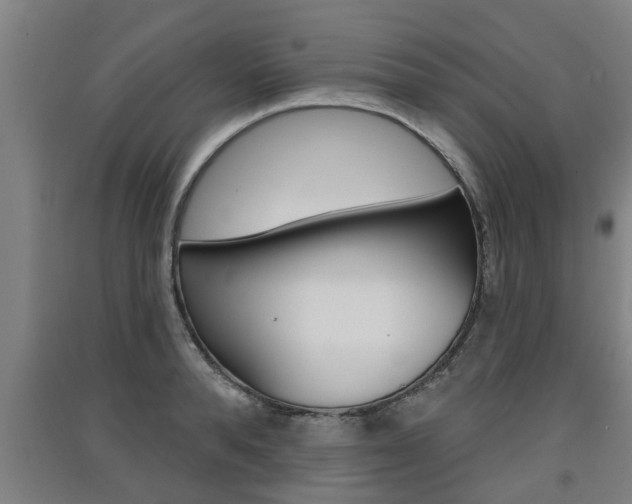 X0000091510896200708170947
