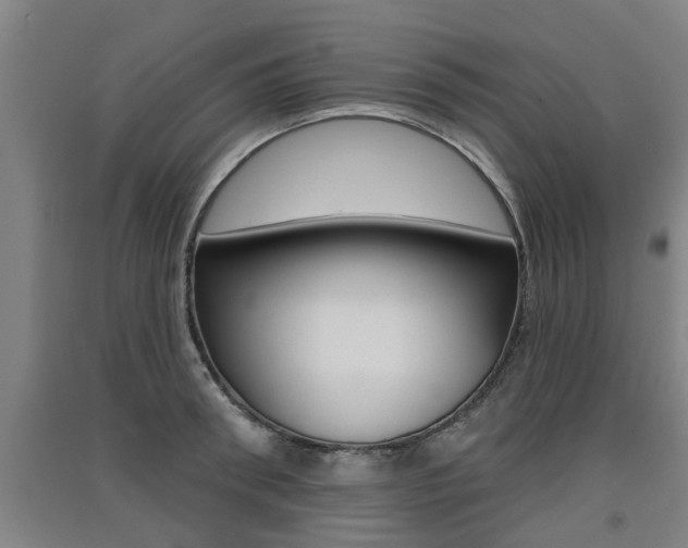 X0000091510898200708170947