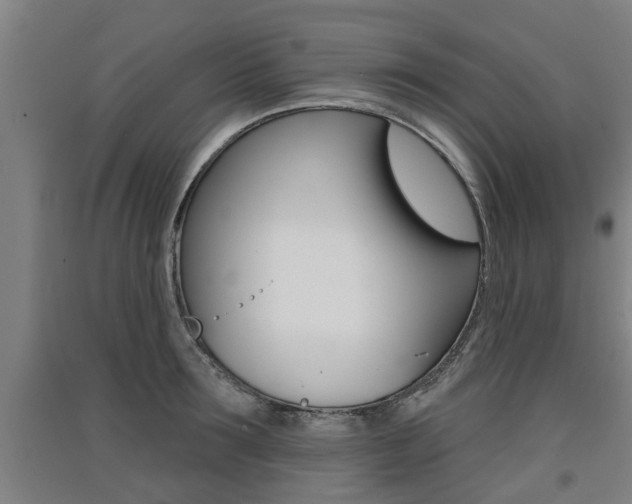 X0000091510899200708170947
