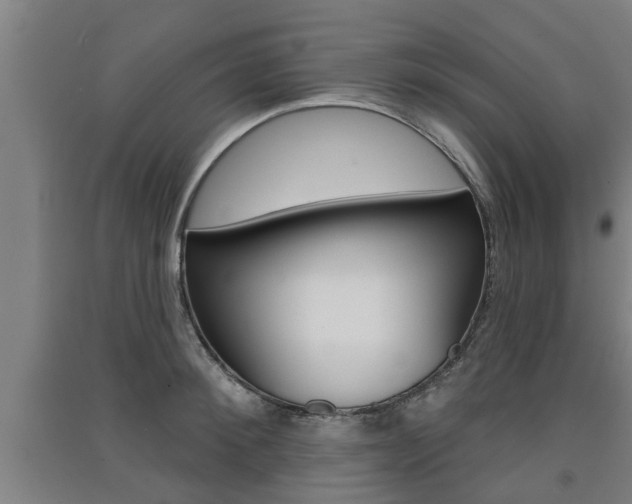 X0000091510900200708170947