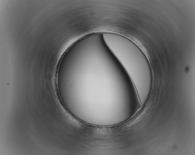 X0000091510901200708170947
