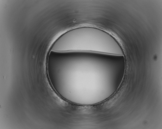 X0000091510902200708170947
