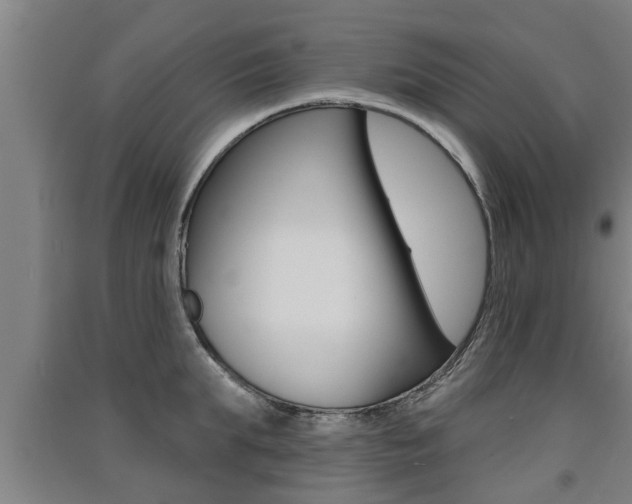 X0000091510903200708170947