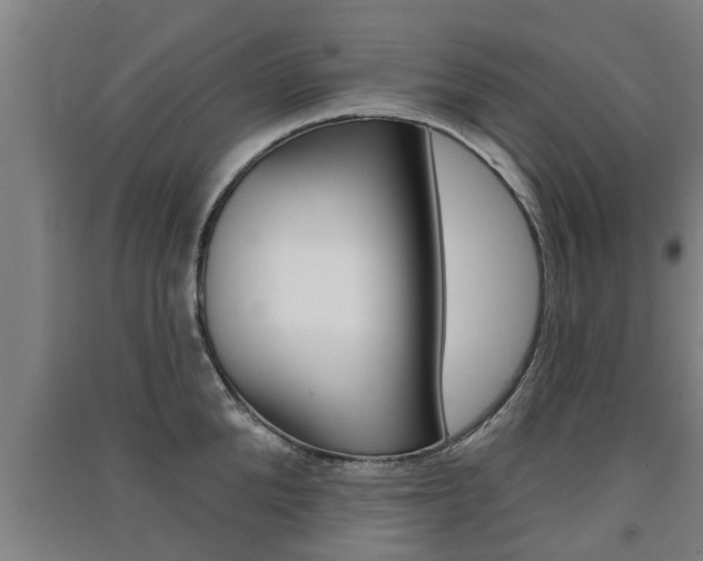 X0000091510904200708170947