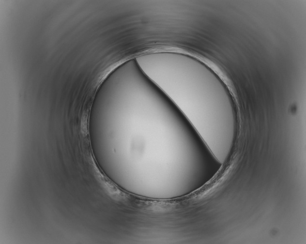 X0000091510905200708170947