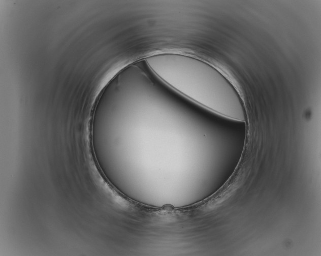 X0000091510906200708170947