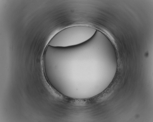 X0000091510907200708170947