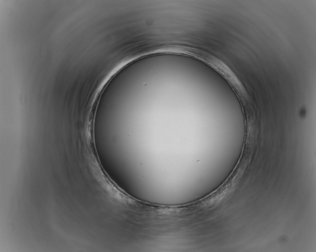 X0000091510908200708170947
