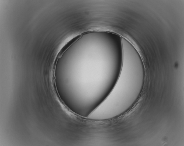 X0000091510909200708170947