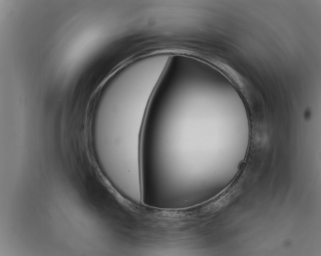 X0000091510910200708170947