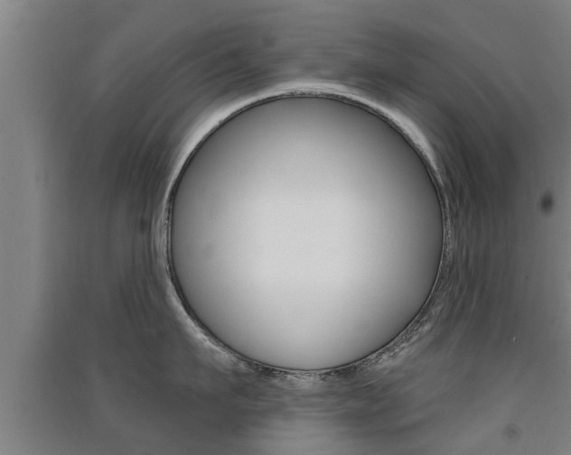 X0000091510911200708170947