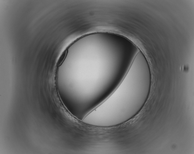 X0000091510912200708170947