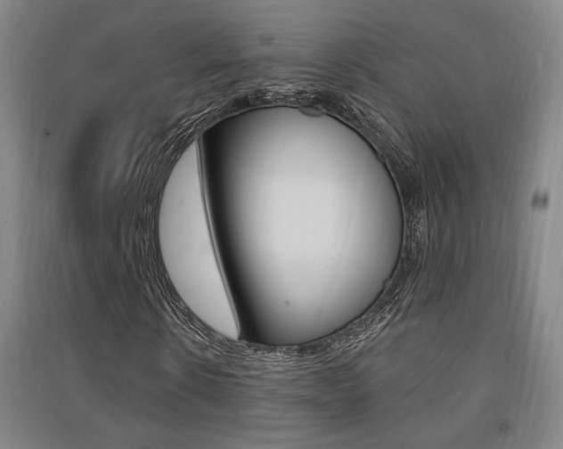 X0000091510914200708170946