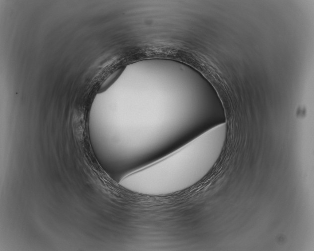 X0000091510915200708170946