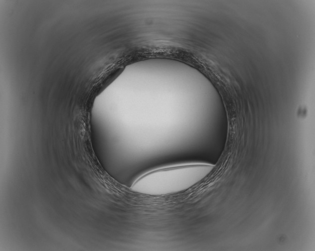 X0000091510916200708170946