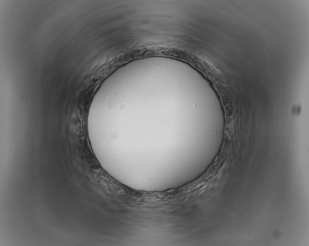 X0000091510917200708170946