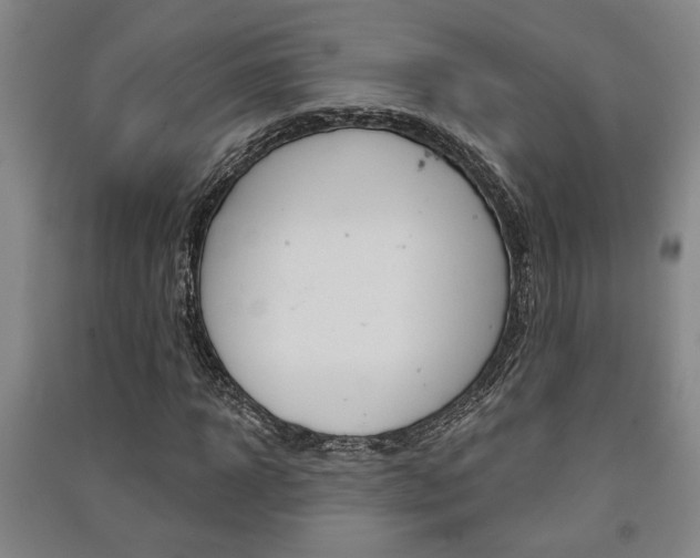 X0000091510918200708170946