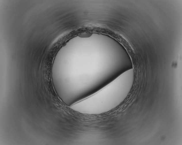 X0000091510919200708170946