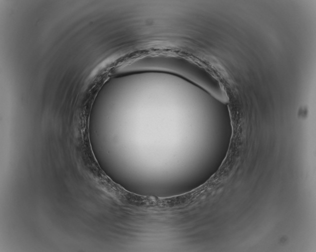X0000091510920200708170946