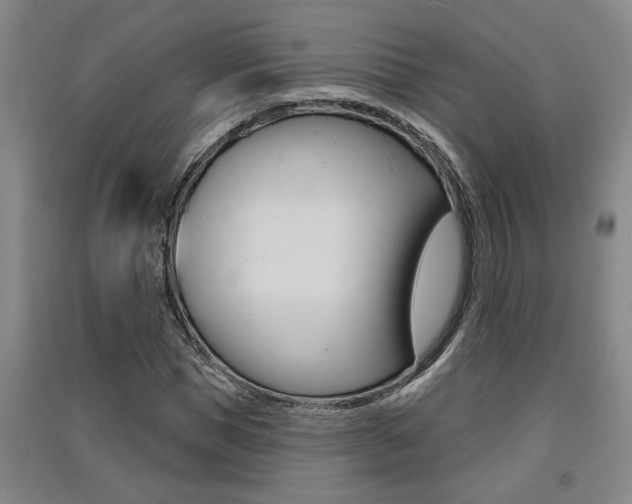 X0000091510921200708170946