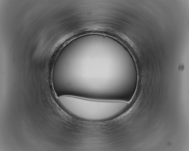 X0000091510922200708170946