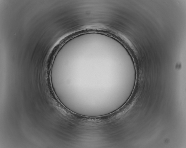 X0000091510923200708170946