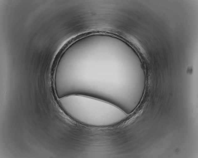 X0000091510924200708170946