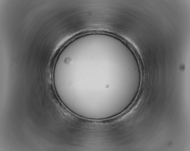 X0000091510925200708170946