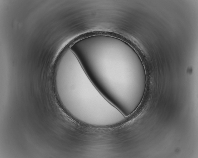 X0000091510926200708170946