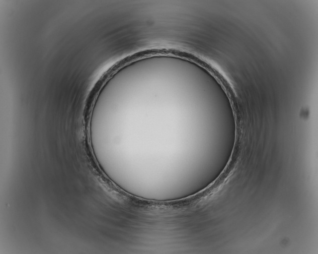 X0000091510927200708170946