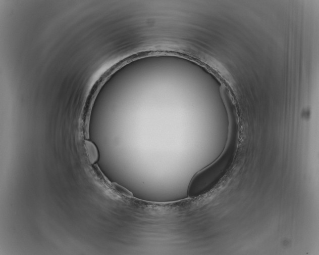 X0000091510928200708170946