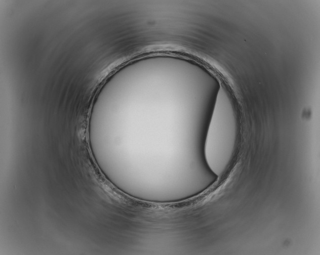 X0000091510929200708170946