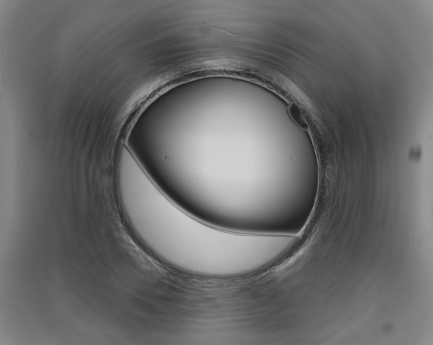 X0000091510930200708170946