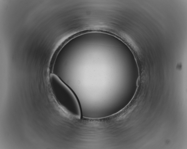 X0000091510932200708170946