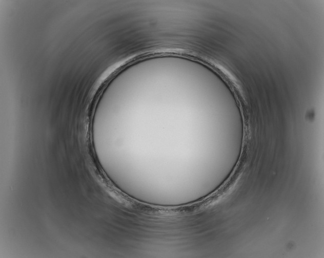 X0000091510933200708170946