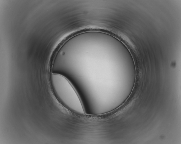 X0000091510934200708170946